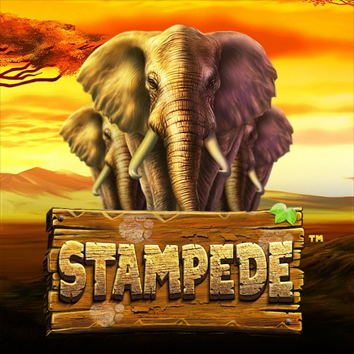 Betsoft Stampede